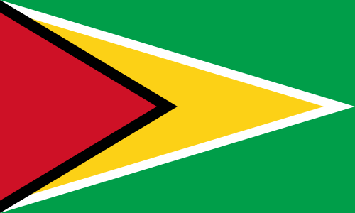 guyana 国旗