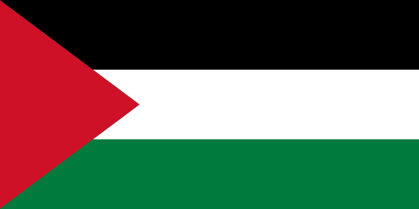 palestine 国旗