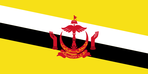 brunei 国旗