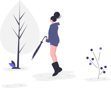 插图 after the rain
