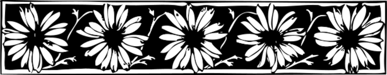 clip art clipart svg 花朵 frame flowers border daisy 剪贴画 边框
