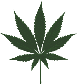clip art clipart svg nature plant public domain leaf medicine drugs drug cannabis hash marijuana smoke smoking 剪贴画 植物 树叶 叶子
