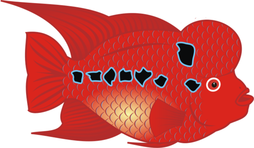 clip art clipart svg red 花朵 public domain 动物 fish water river sea ocean aquarium flowerhorn 剪贴画 红色 海洋 水