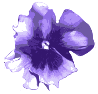 clip art clipart svg garden color 花朵 nature pansy plant public domain blossom traced flowers violet 剪贴画 颜色 植物 花园