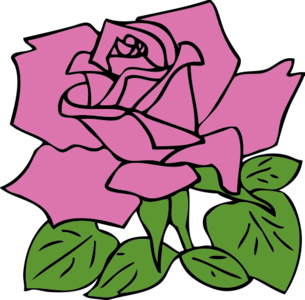 clip art clipart svg 花朵 nature plant 爱情 flowers symbol rose valentine pink gpo 剪贴画 符号 植物 情人节 粉红 粉红色