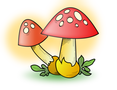 clip art clipart svg 食物 nature public domain forest woods fungi fungus mushroom toadstool toxic 剪贴画