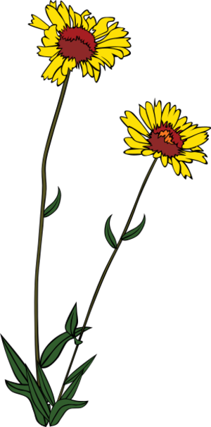 clip art clipart svg color 花朵 nature plant flowers outline wild 剪贴画 颜色 植物