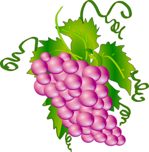 clip art clipart svg 食物 plant public domain colour fruit wine shiny grape grapes 剪贴画 植物 彩色 水果