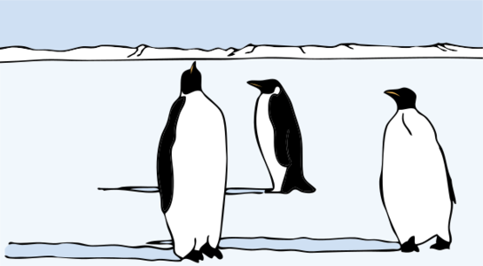 clip art clipart svg color ice nature public domain 动物 bird birds animals colors penguin landscape penguins nasa 剪贴画 颜色 彩色 鸟