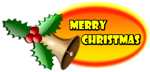 svg colorful colors decoration christmas xmas merry christmas jingle bells berries bells 装饰 圣诞 圣诞节 彩色 多彩