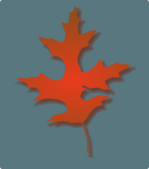 clip art clipart svg nature plant public domain leaf oak autumn season shadow png no contour 剪贴画 季节 秋天 秋季 植物 阴影 树叶 叶子