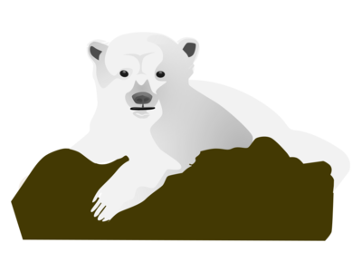 clip art clipart svg nature public domain 动物 animals white mammal bear 剪贴画 白色 哺乳类动物