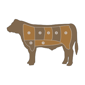 clip art clipart svg 食物 动物 cow meat beef bovine 剪贴画