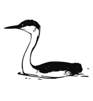 clip art clipart svg 动物 bird animals black & white 剪贴画 鸟