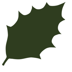 clip art clipart svg nature tree leaf silhouette silhouettes leaves 剪贴画 剪影 树木 树叶 叶子