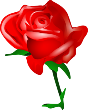 clip art clipart svg red 花朵 nature plant 爱情 flowers rose valentine 剪贴画 红色 植物 情人节