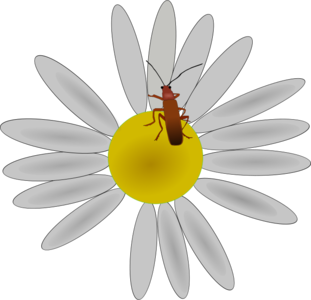 clip art clipart svg 花朵 plant public domain 动物 cartoon insect floral bug camomile daisy 剪贴画 卡通 植物