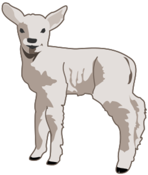clip art clipart svg 食物 动物 mammal remix sheep lamb young 剪贴画 哺乳类动物 年轻