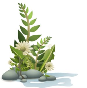 clip art clipart svg green 花朵 nature plant illustration water fern pebbles vines 剪贴画 绿色 草绿 植物 水