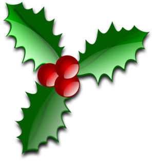 svg green 花朵 leaf colors decoration christmas xmas berries 装饰 绿色 草绿 圣诞 圣诞节 彩色 树叶 叶子