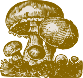 clip art clipart svg 食物 nature forest fungi mushroom 剪贴画