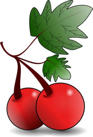 clip art clipart svg red 食物 plant public domain fruit christmas fruits 剪贴画 红色 圣诞 圣诞节 植物 水果
