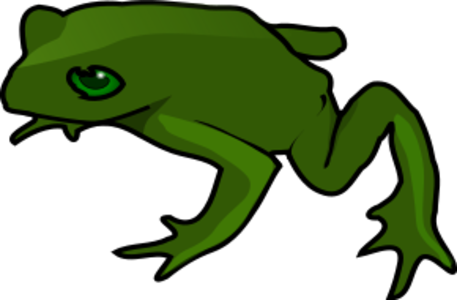 clip art clipart svg nature public domain 动物 animals frog amphibian 剪贴画