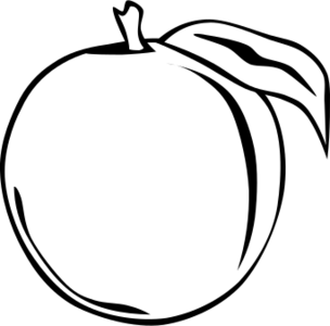 clip art clipart svg openclipart black 食物 plant branch white fruit produce vitamines peach delicious peach juice 剪贴画 黑色 白色 植物 水果