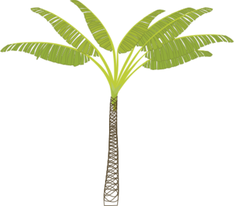 clipart svg openclipart hot tree leaf sign symbol leaves peace desert plants jungle climate lip art palm fprest rainforest tropics victory tropicl 符号 标志 树木 树叶 叶子