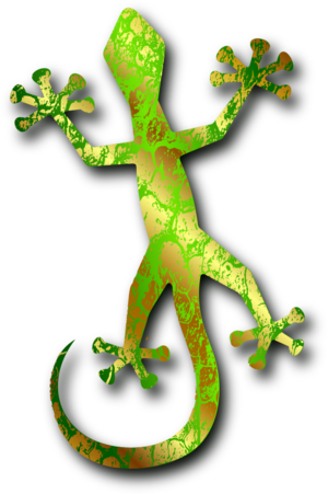 clip art clipart svg openclipart colorful nature 动物 sound lizard light warm eyes jungle climate tropical tropics unique gecko 剪贴画 彩色 多彩 声音