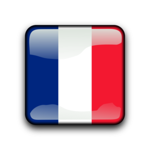 clip art clipart svg french iso3166-1 button country flag flags squared state land glossy france europe eu 剪贴画 旗帜 按钮 欧洲 领土
