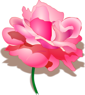 clip art clipart svg openclipart 花朵 nature plant blossom 爱情 colour contour rose valentine shadow pink perennial plants petal botany 剪贴画 植物 彩色 情人节 阴影 粉红 粉红色 轮廓