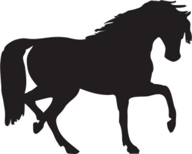 clip art clipart svg black 动物 silhouette mammal horse domestic 剪贴画 剪影 黑色 哺乳类动物
