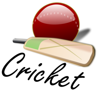 clip art clipart svg openclipart brown red color play 图标 equipment photorealistic ball 运动 sports game player bat cricket 剪贴画 颜色 红色 游戏 器材 球