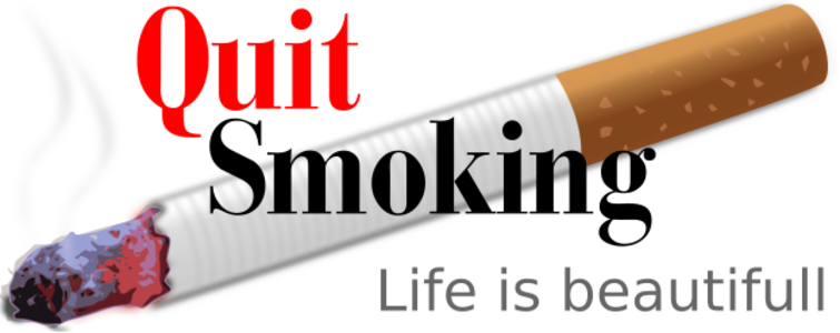clip art clipart svg openclipart color health smoke smoking life cigarette no smoking cigar habit lifestyle quit smoking 剪贴画 颜色