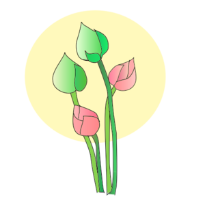svg green 花朵 blossom colors rose tulip tulips 绿色 草绿 彩色