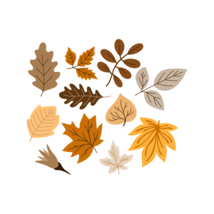 nature autumn decoration quotes seasons
 装饰 季节 四季 秋天 秋季