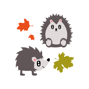 动物 autumn decoration quotes animals pets seasons
 装饰 季节 四季 秋天 秋季 宠物