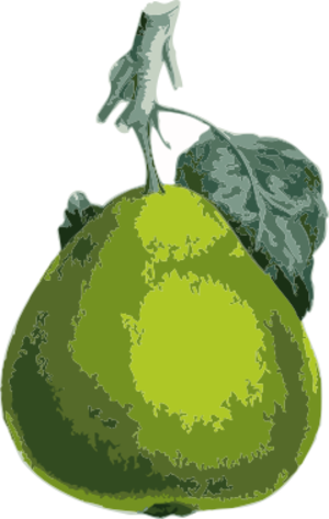 clip art clipart image svg openclipart green color 食物 plant leaf fruit juice fresh vitamines ripe pear cider ripening cultivars 剪贴画 颜色 绿色 草绿 植物 树叶 叶子 水果