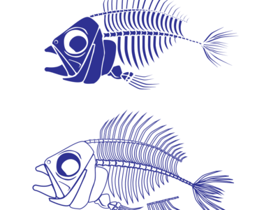 clip art clipart svg openclipart color blue 动物 outline fish water skeleton lineart aquatic inverse leftovers 剪贴画 颜色 线描 线条画 蓝色 水