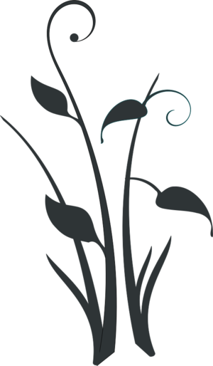 clip art clipart svg openclipart black 花朵 white silhouette flowers outline water tall pond grass marsh 剪贴画 剪影 黑色 白色 水