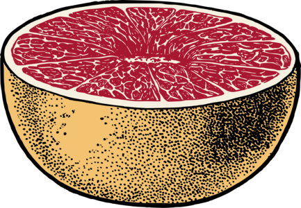 clip art clipart svg openclipart red color yellow colour healthy fruit cut pink grape half juicy citrus vitamins grapefruit 剪贴画 颜色 红色 黄色 彩色 粉红 粉红色 水果