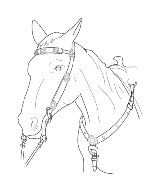 clipart svg openclipart black 动物 drawing white head plate front pencil horse chest lead chestplate chest plate horse chest plate clip artt horsehead 黑色 白色