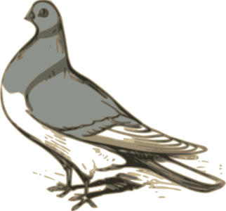 clip art clipart svg openclipart brown black grey bird grayscale silhouette city outline gray walking pigeon street stepping 剪贴画 剪影 黑色 去色 鸟 灰色 城市