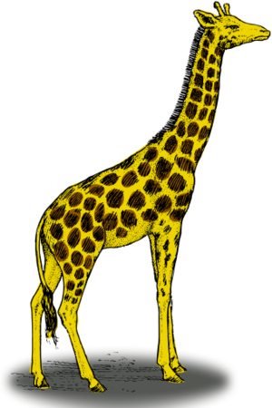 clip art clipart svg openclipart brown color yellow 动物 mammal giraffe zoo africa tongue kids neck largest jungle tallest ruminant long legs savannas grasslands 剪贴画 颜色 黄色 小孩 儿童 哺乳类动物