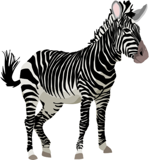 clip art clipart svg openclipart black color nature 动物 white zoo africa circus horse zebra zoo mammal 剪贴画 颜色 黑色 白色