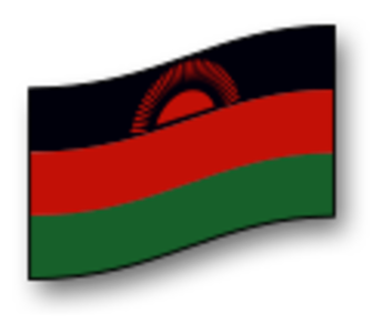 clip art clipart svg openclipart green red black color flag africa wind waving wave tilted malawi clip atsvg 剪贴画 颜色 绿色 草绿 黑色 红色 旗帜