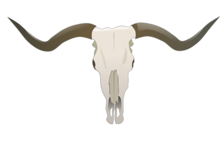 clip art clipart svg openclipart color 动物 horn cow head country bones horns skull bull beef western cowboy texas longhorn headskull 剪贴画 颜色