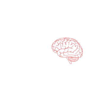 clip art clipart svg openclipart drawing medicine biology science pink human view side anatomy shade thinking brain neurology hemisphere body parts human parts 剪贴画 人类 人 粉红 粉红色