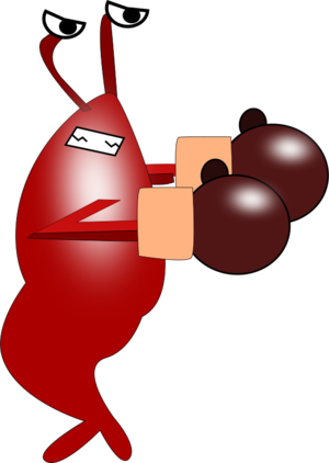 clip art clipart svg openclipart red 动物 cartoon box gloves fight comic boxing fighting shrimp seafood 剪贴画 卡通 红色 打斗 斗争 战争